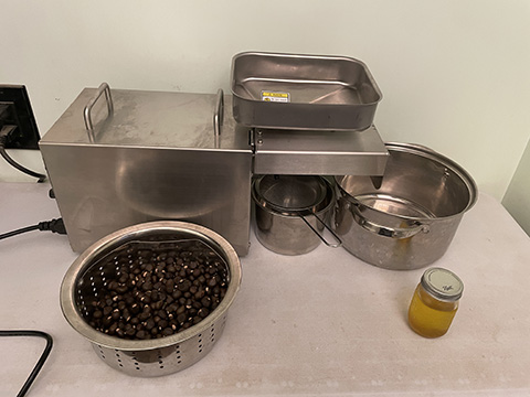 Making Xanthoceras Sorbifolium Oil