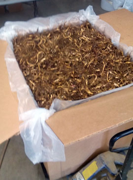 Miscanthus Rhizome - Bulk Shipping to the Philippines