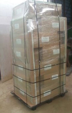 Miscanthus Rhizome - Bulk Shipping to Mexico