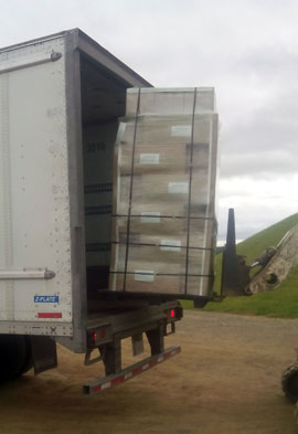 Miscanthus Rhizome - Bulk Shipping to Mexico