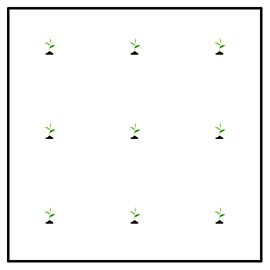 9 tree planting grid with 5 foot spacing.